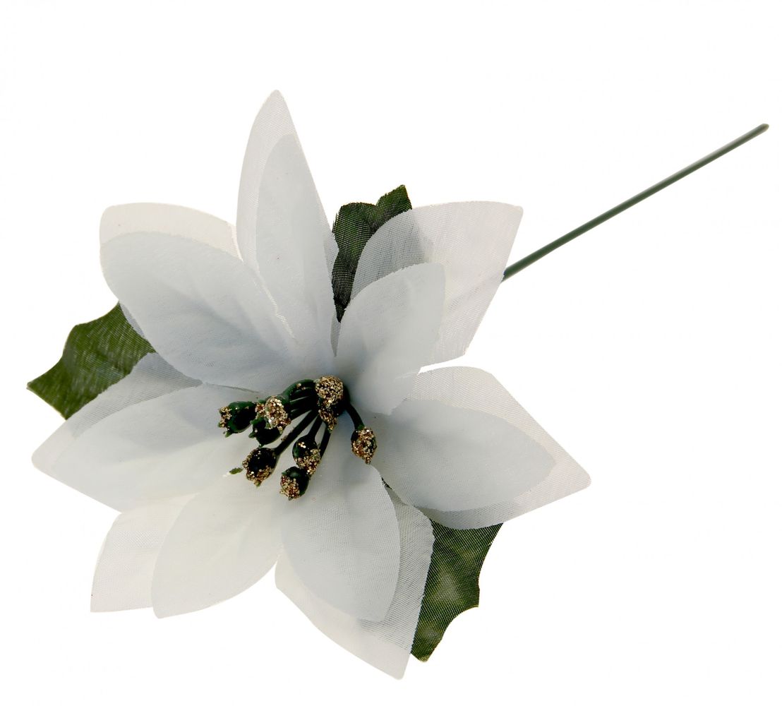 Single Stem White Poinsettia | APAC EU