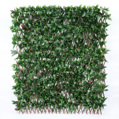 Exterior UV Resistant Photinia Expandable Trellis (1/4)