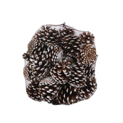 White Tipped Pinus Nigra Cones (1kg) (1/6)