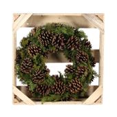 38cm Pinus Nigra Wreath w/preserved branch (1/6) 