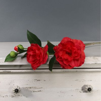 Tintagel Camelia Red (12/96)