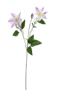 Real Garden Clematics Pink (76cm)