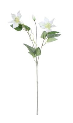 Real Garden Clematics White (76cm)