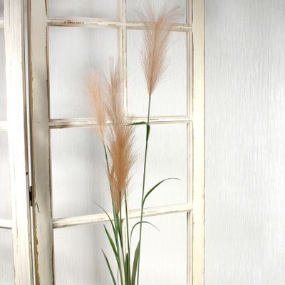 Pampas Grass Brown (145cm)