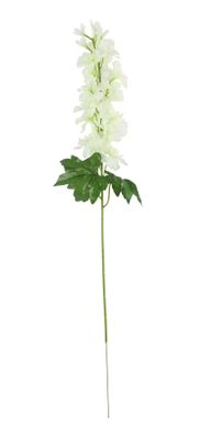 Arundel Garden Delphinium Ivory (24/192)