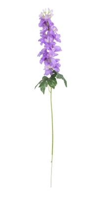 Arundel Garden Delphinium Lavender (24/192)