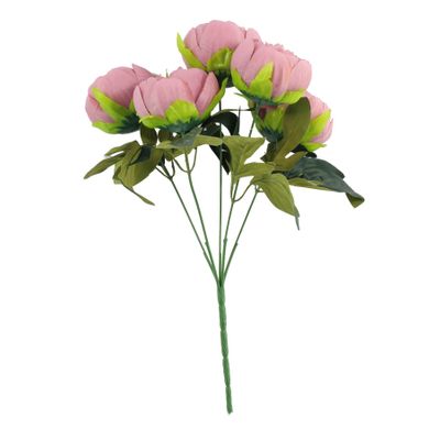 Arundel Peony Bush Dusky Pink (12/144)