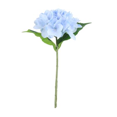 Arundel Hydrangea Blue (24/144)