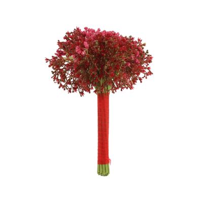 Gypsophila Bouquet Red (12/120)