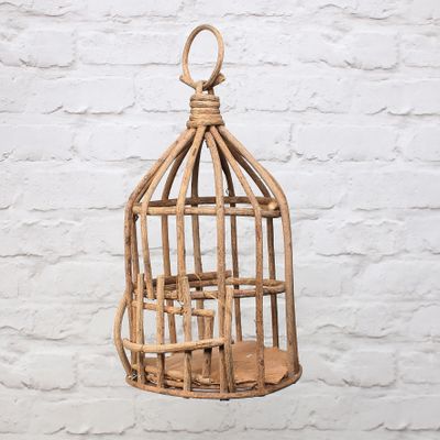 Birdcage Macaw Vine D20 H34 Natural