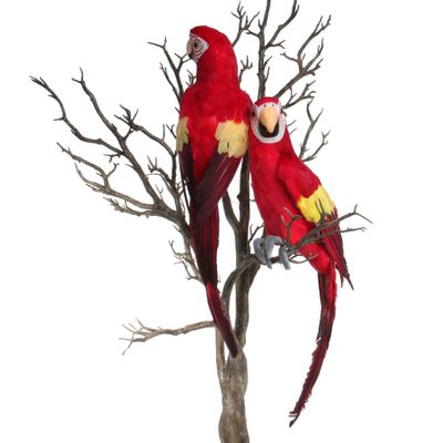 Red Perching Macaw (L)