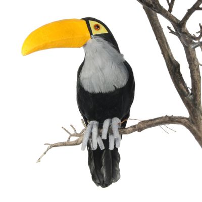 Toucan 