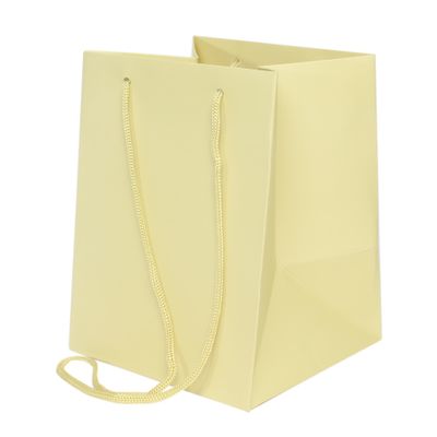 19x25cm Sage Cream Hand Tie Bag (10/100)