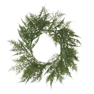 Asparagus Fern wreath 60cm