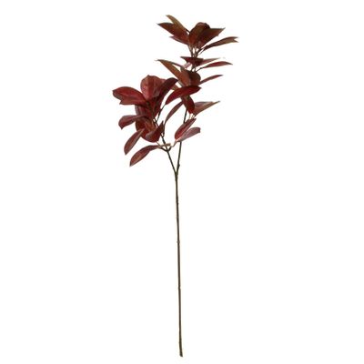 Glamis Citrus Leaves Spray Chocolate (75cm)