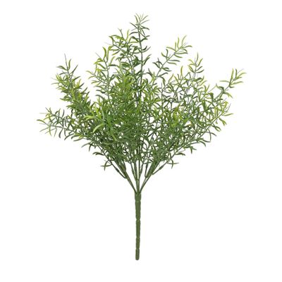 Exterior Everlast 38cm Asparagus Plant  U.V