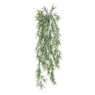 Exterior Everlast  76cm Trailing Rosemary  plant U.V