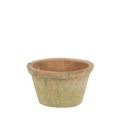  Fenland Mossed redstone flower pot D15cm 