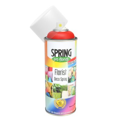 400Ml Tangerine Euro-Aerosols(6/12)