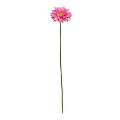 Single Gerbera Beauty - 72cm