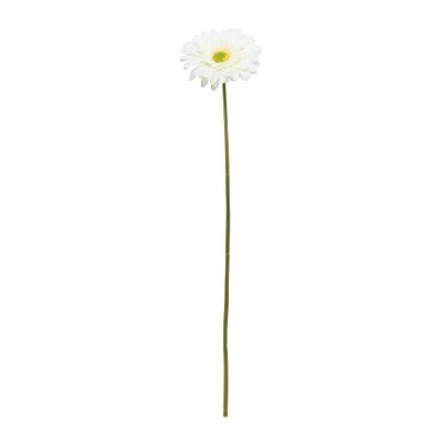 Single Gerbera Cream - 72cm