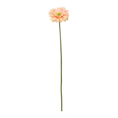 Single Gerbera Peach - 72cm