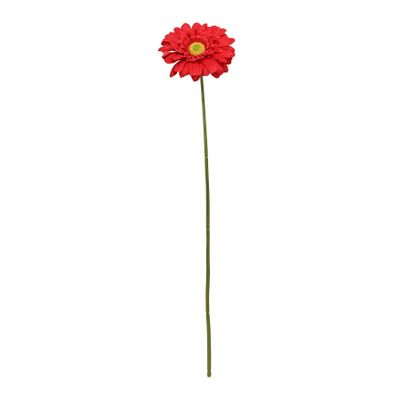 Single Gerbera Red - 72cm