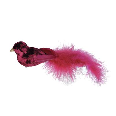 Burgundy Velvet Bird With Clip L30cm