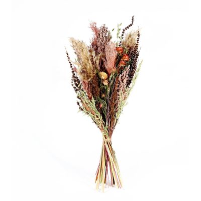 Ixia Flowers Austen Dried Bouquet