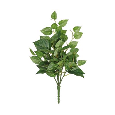 Pothos bush 56cm 53 leaves