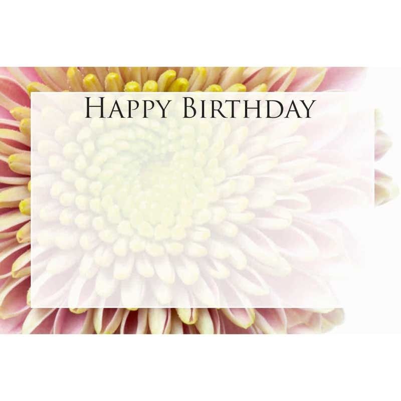 Happy Birthday Small Greeting Cards (x50) | APAC EU