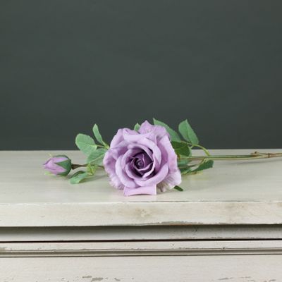 Tintagel Spray Rose Lavender (24/240)