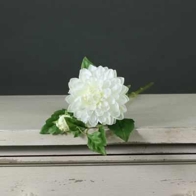 Tintagel Spray Dahlia White (12/144)