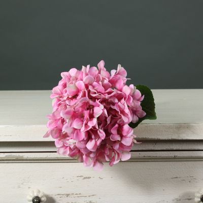 Tintagel Hydrangea Dark Pink(12/144)