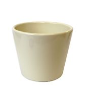 Gloss Cream Verdi Pot