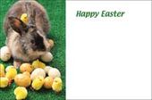 Easter Greeting Cards