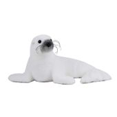 Small White Sea Lion