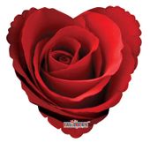 Classic Rose (36inch)