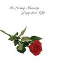 Large ILM Wife Greeting Card (x25)