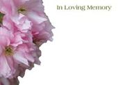 Large ILM Sweet Peas Greeting Card (x25)