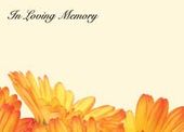 Large ILM Yellow Gerberas Greeting Card (x25)