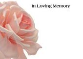 Large ILM Pink Hollyhocks Greeting Card (x25)