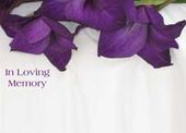 Large ILM White Hibiscus Greeting Cards (x25)