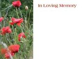 Large ILM Poppy Field Greeting Cards (x25)