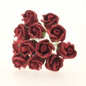 Montana Foam Rose x12 Burgundy 