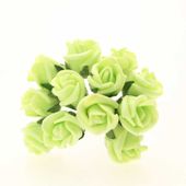 Montana Foam Rose x12 Lime 