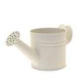 Matt Cream Watering Can (9.2cm)