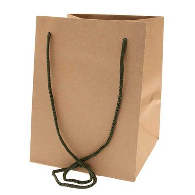 Kraft with Moss Handle  Hand Tie Bag  (19x25cm)