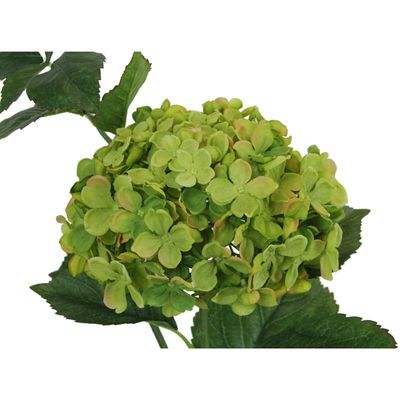 Large Hydrangea Green (20cm x 100cm)