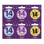Age 14 Small Badges (6 assorted per perforated card) (5.5cm) 